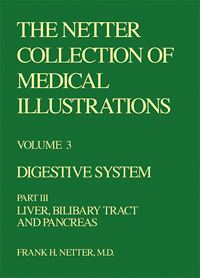 Collection of Medical Illustra...