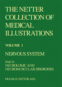 Collection of Medical Illustra...