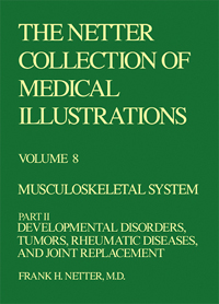 Collection of Medical Illustra...