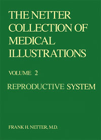 Collection of Medical Illustra...