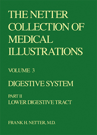 The Netter Collection of Medical Illustrations - Digestive System, Part II - Lower Digestive Tract