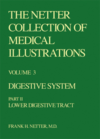 Collection of Medical Illustra...