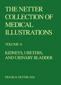 Collection of Medical Illustra...