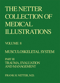 Collection of Medical Illustra...