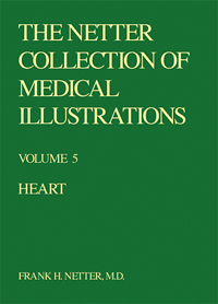 Collection of Medical Illustra...