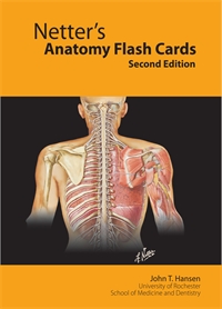Flash Cards - Anatomy, Hansen 1E