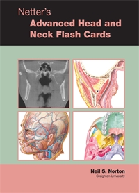 Flash Cards - Advanced Head an...