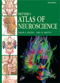 Neuroscience - Felten 2E