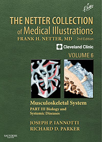 Collection of Medical Illustra...