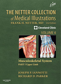 Collection of Medical Illustra...