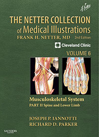 The Netter Collection of Medical Illustrations - Musculoskeletal System