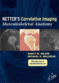 Correlative Imaging: Musculosk...