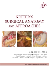 Surgical Anatomy - Delaney