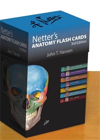 Flash Cards - Anatomy, Hansen ...