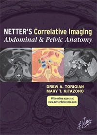 Correlative Imaging: Abdominal...