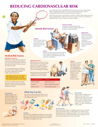 Reducing Cardiovascular Risk