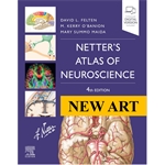 New Art: Netter's Atlas of Neuroscience