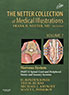 Collection of Medical Illustrations, Nervous System Part II - Volume 7 - 2E