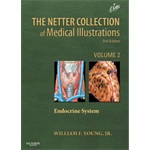 Collection of Medical Illustrations, Endocrine System - Volume 2 - 2E