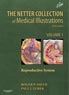 Collection of Medical Illustrations, Reproductive System - Volume 1 - 2E