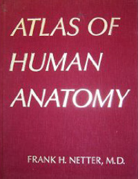 Anatomy Atlas - 1E...