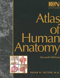 Anatomy Atlas - 2E...
