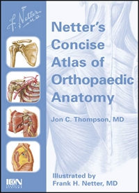 Orthopaedic Anatomy - Thompson...