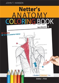Anatomy Coloring Book - Hansen...
