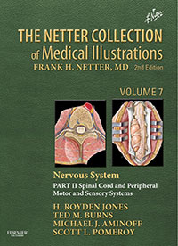 The Netter Collection of Medical Illustrations - Nervous System Part II