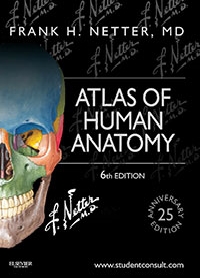 Anatomy Atlas - 6E